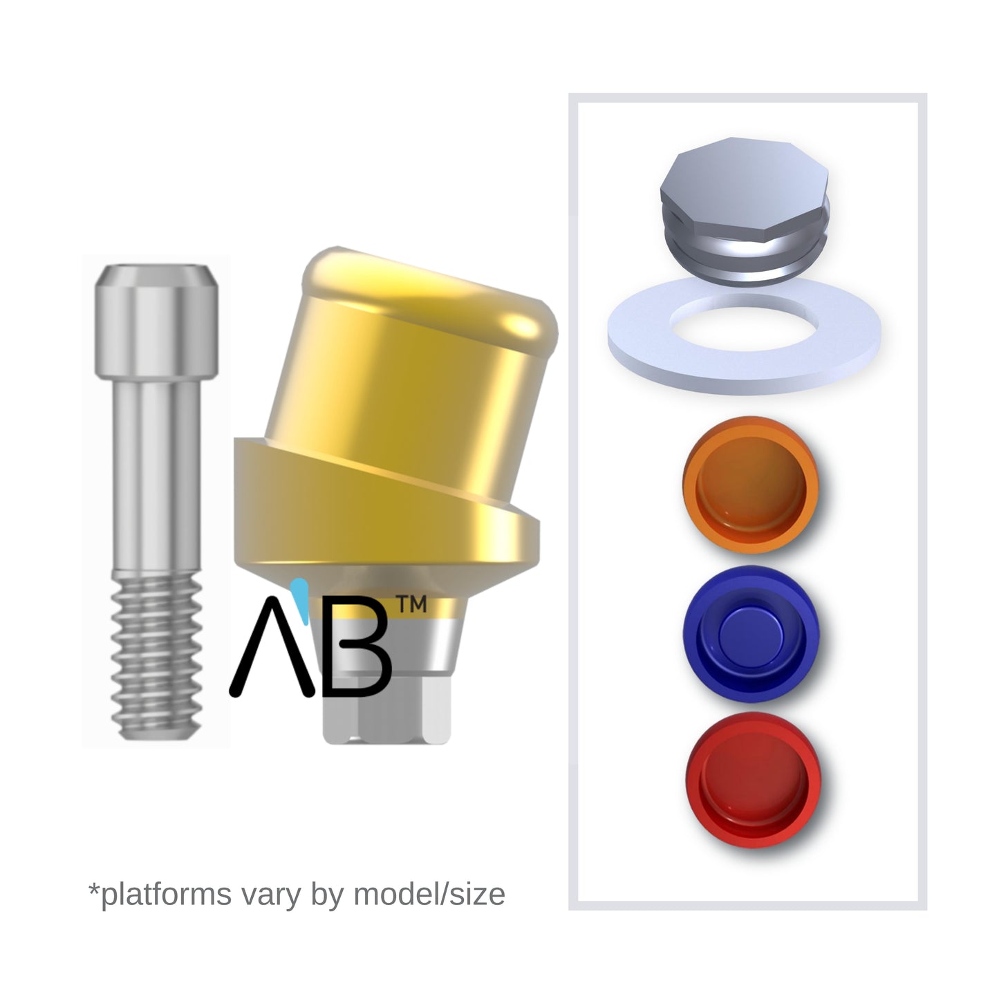 Implant Overdenture System - AB 15° Angled