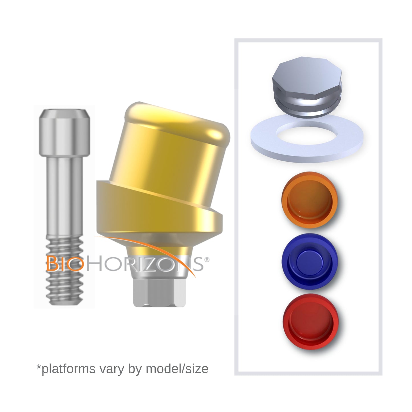 Implant Overdenture System - BioHorizons 15° Angled