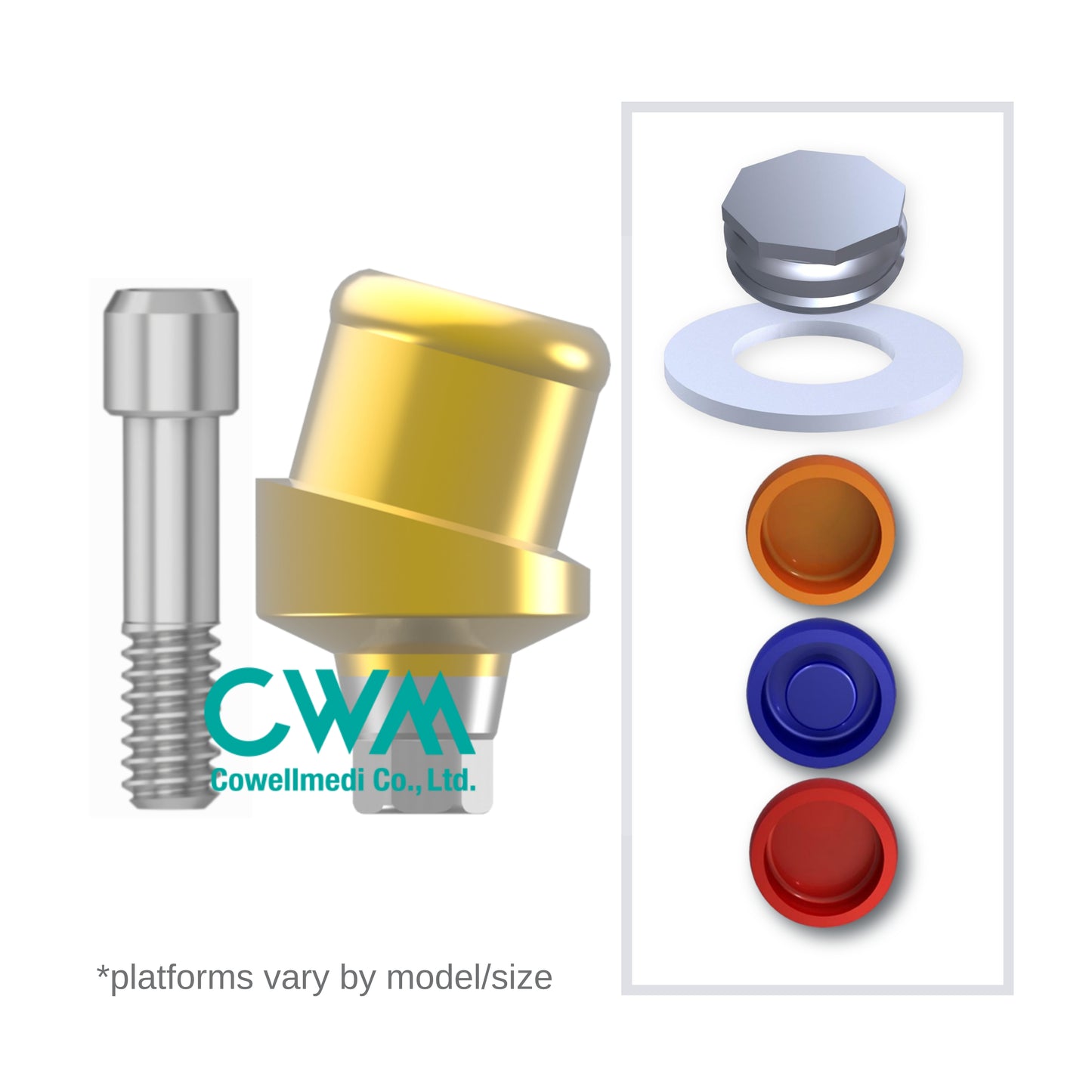Implant Overdenture System - COWELL MEDI 15° Angled