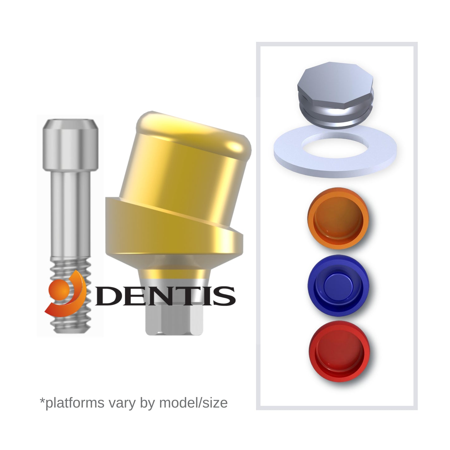 Implant Overdenture System - DENTIS 15° Angled