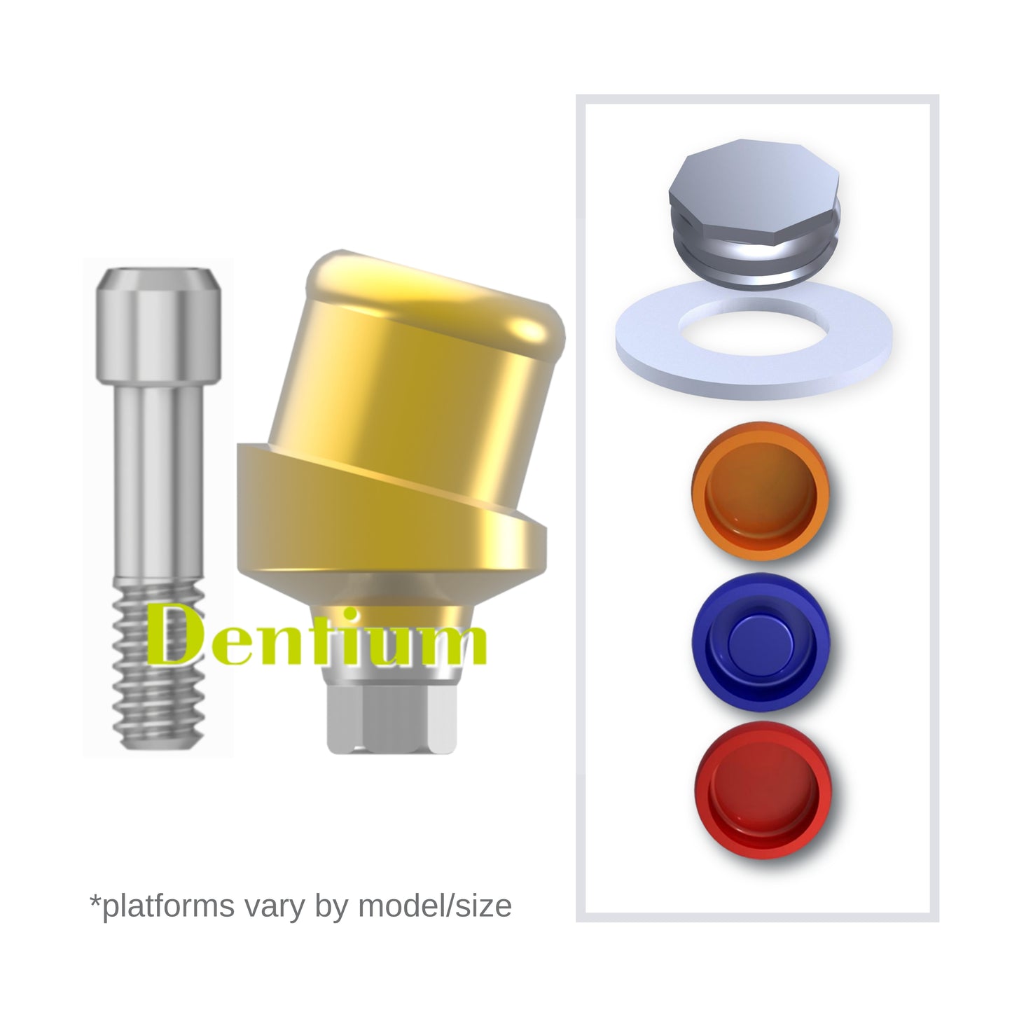 Implant Overdenture System - Dentium 15° Angled