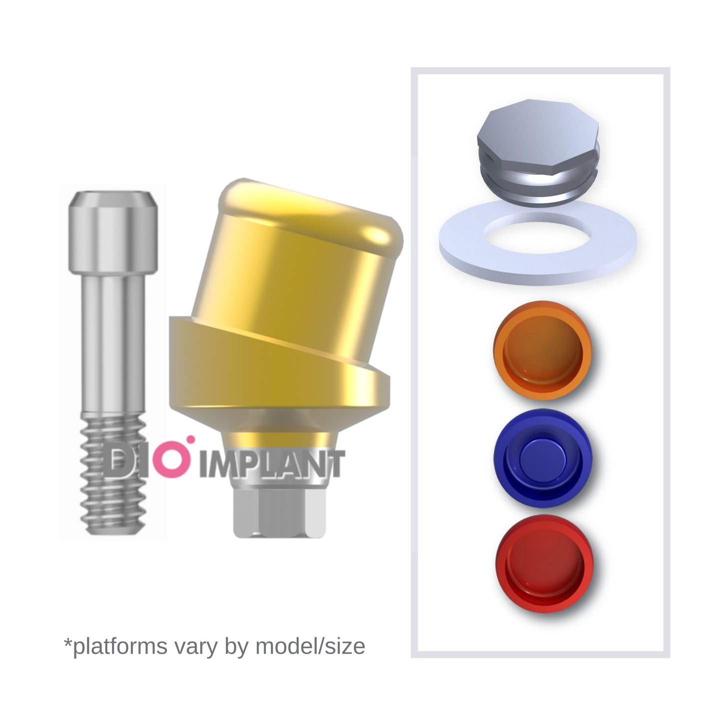 Implant Overdenture System - DIO 15° Angled