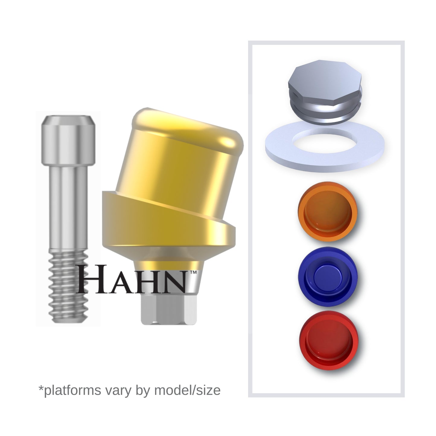 Implant Overdenture System - Hahn 15° Angled