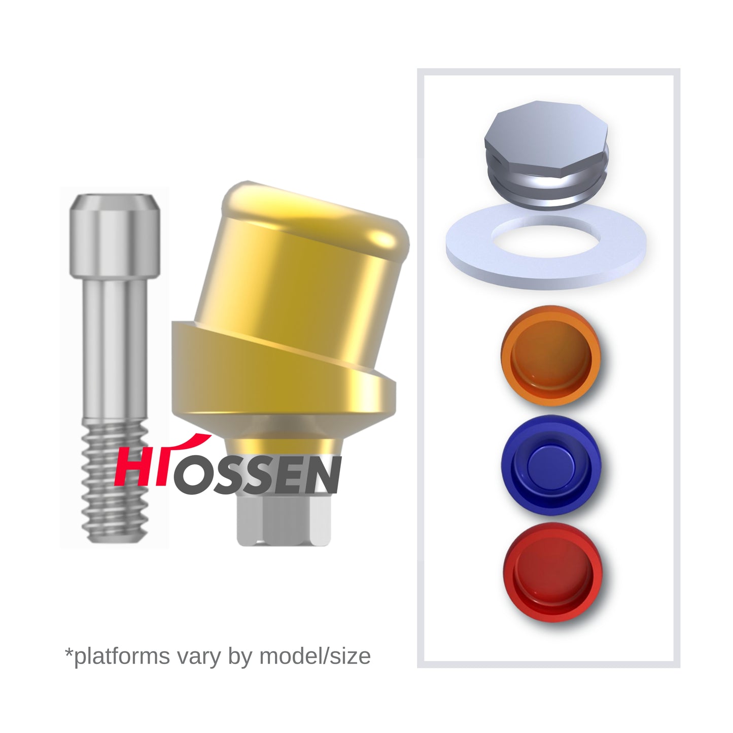 Implant Overdenture System - HIOSSEN 15° Angled