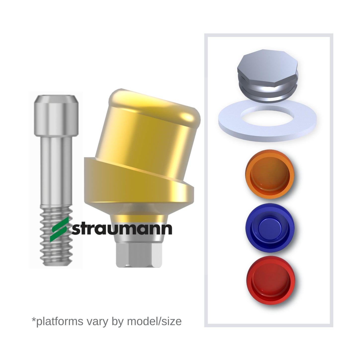 Implant Overdenture System - ITI Straumann 15° Angled