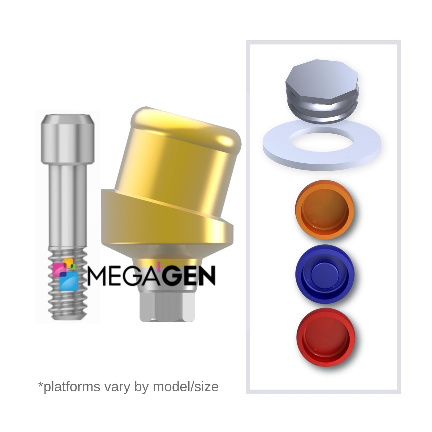 Implant Overdenture System - MEGAGEN 15° Angled
