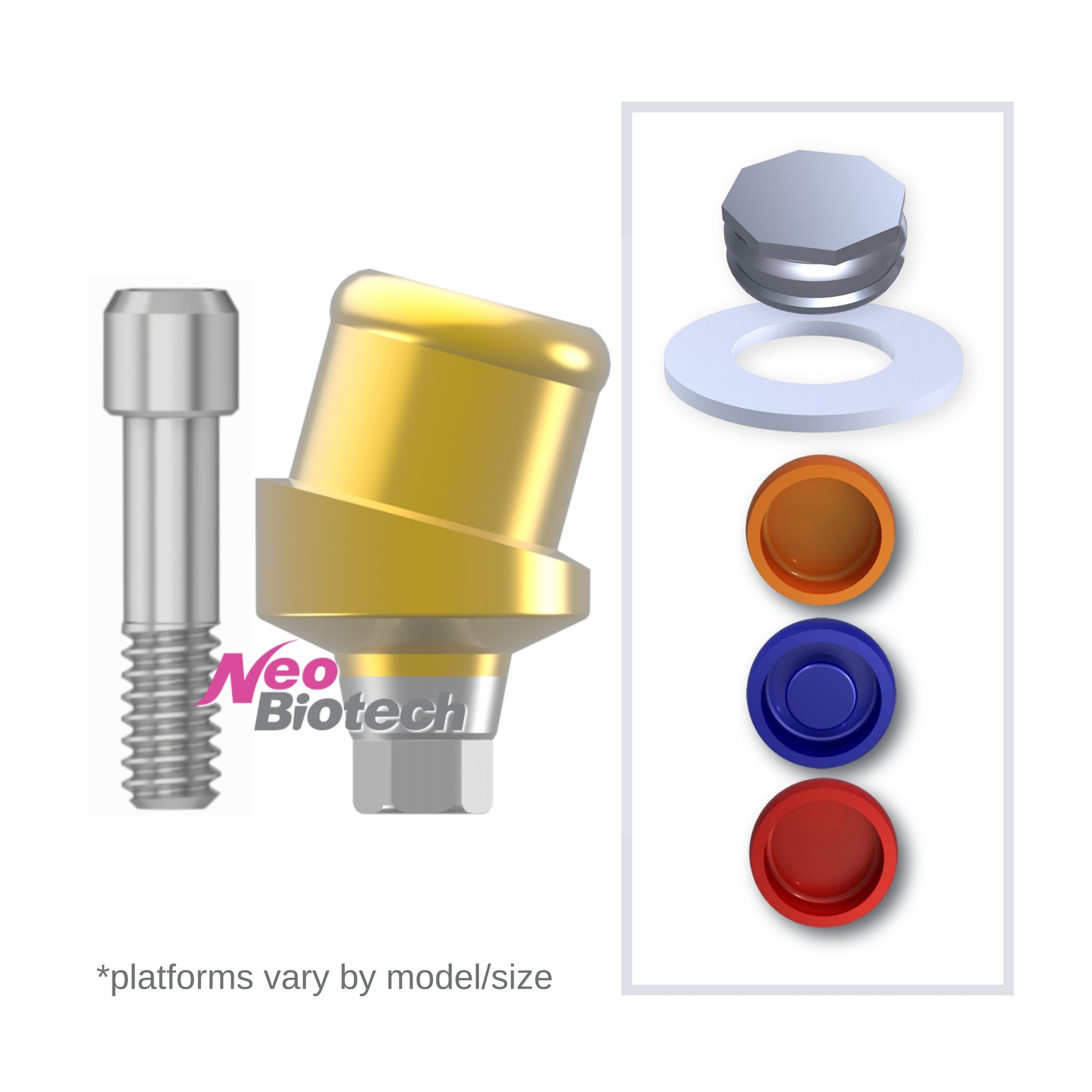 Implant Overdenture System - NeoBiotech 15° Angled