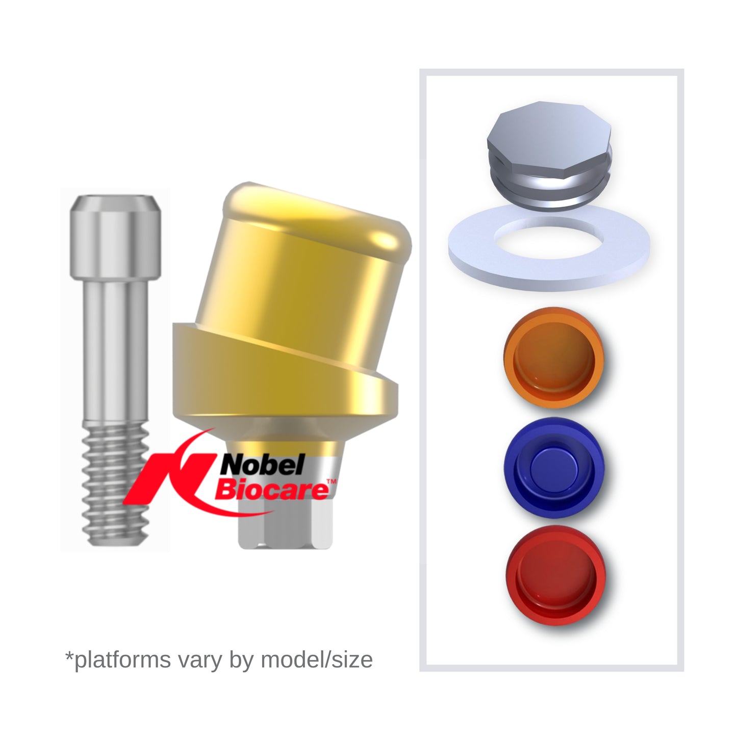 Implant Overdenture System - Nobel Biocare 15° Angled