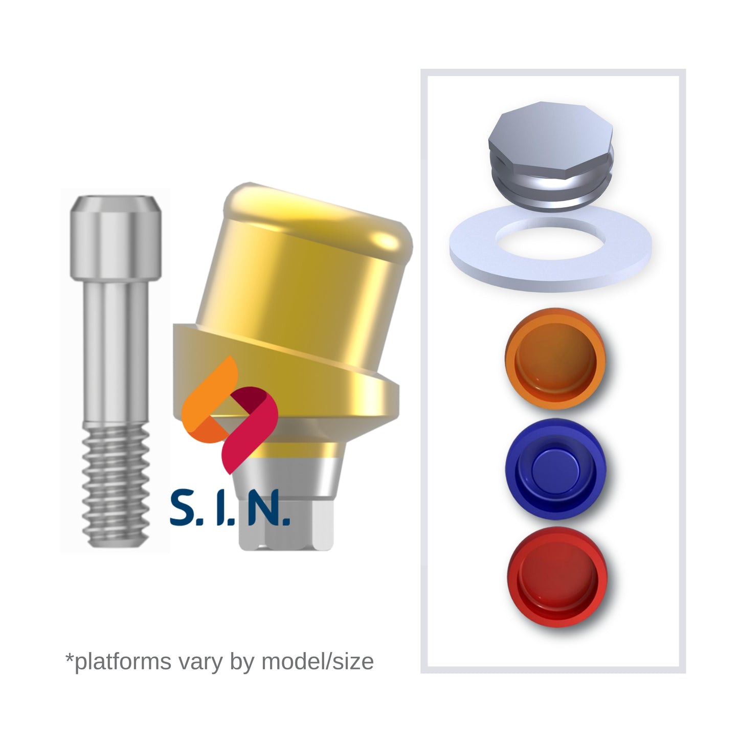 Implant Overdenture System - S.I.N. 15° Angled