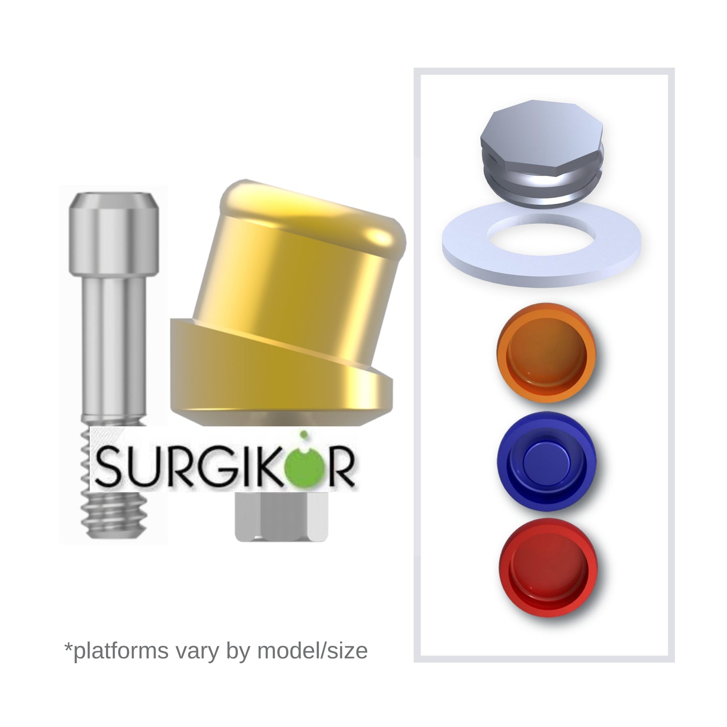 Implant Overdenture System - Surgikor 15° Angled