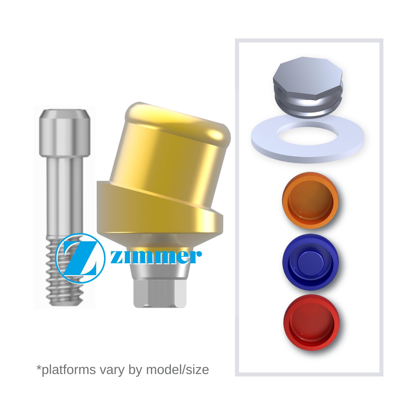 Implant Overdenture System - Zimmer 15° Angled