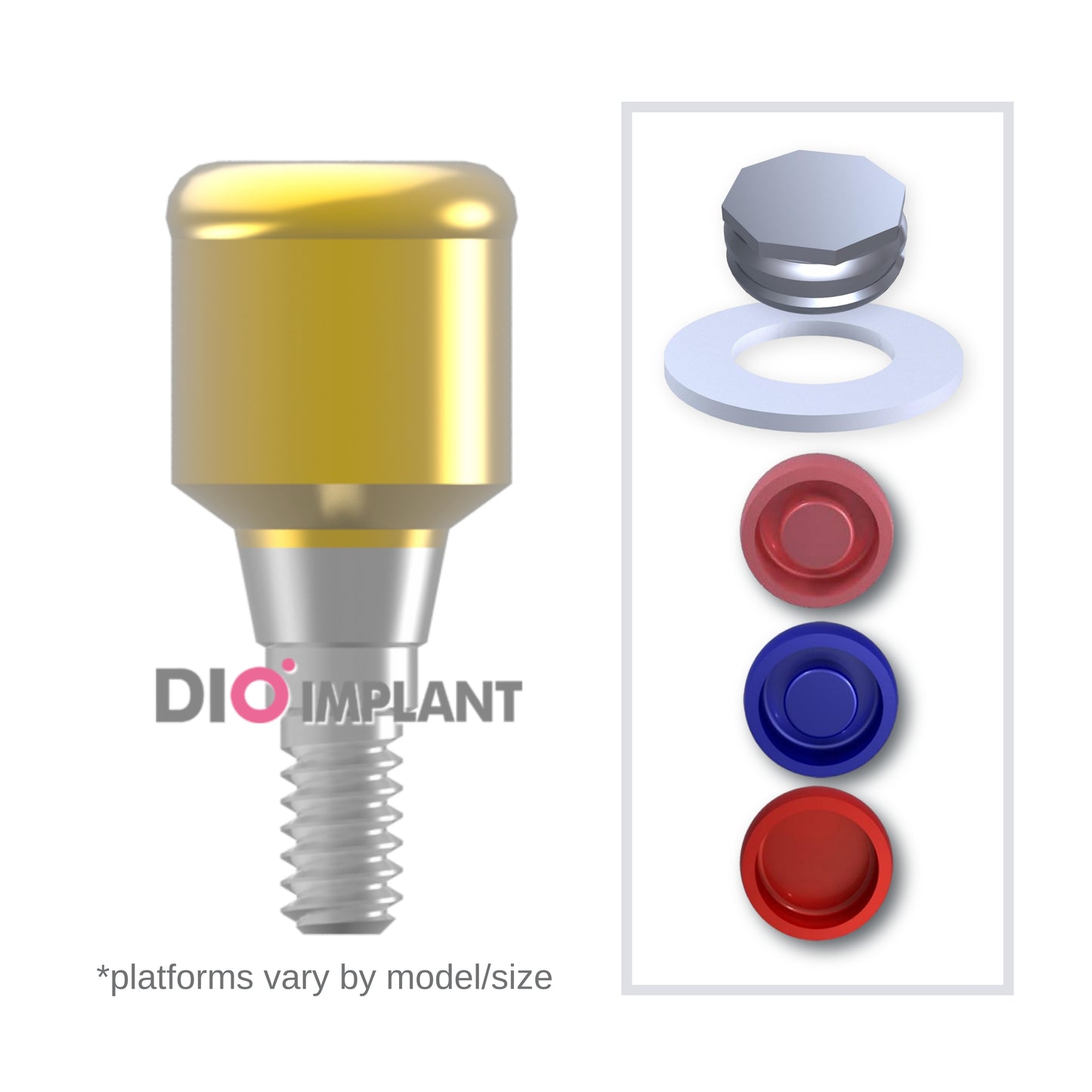 Implant Overdenture System - DIO