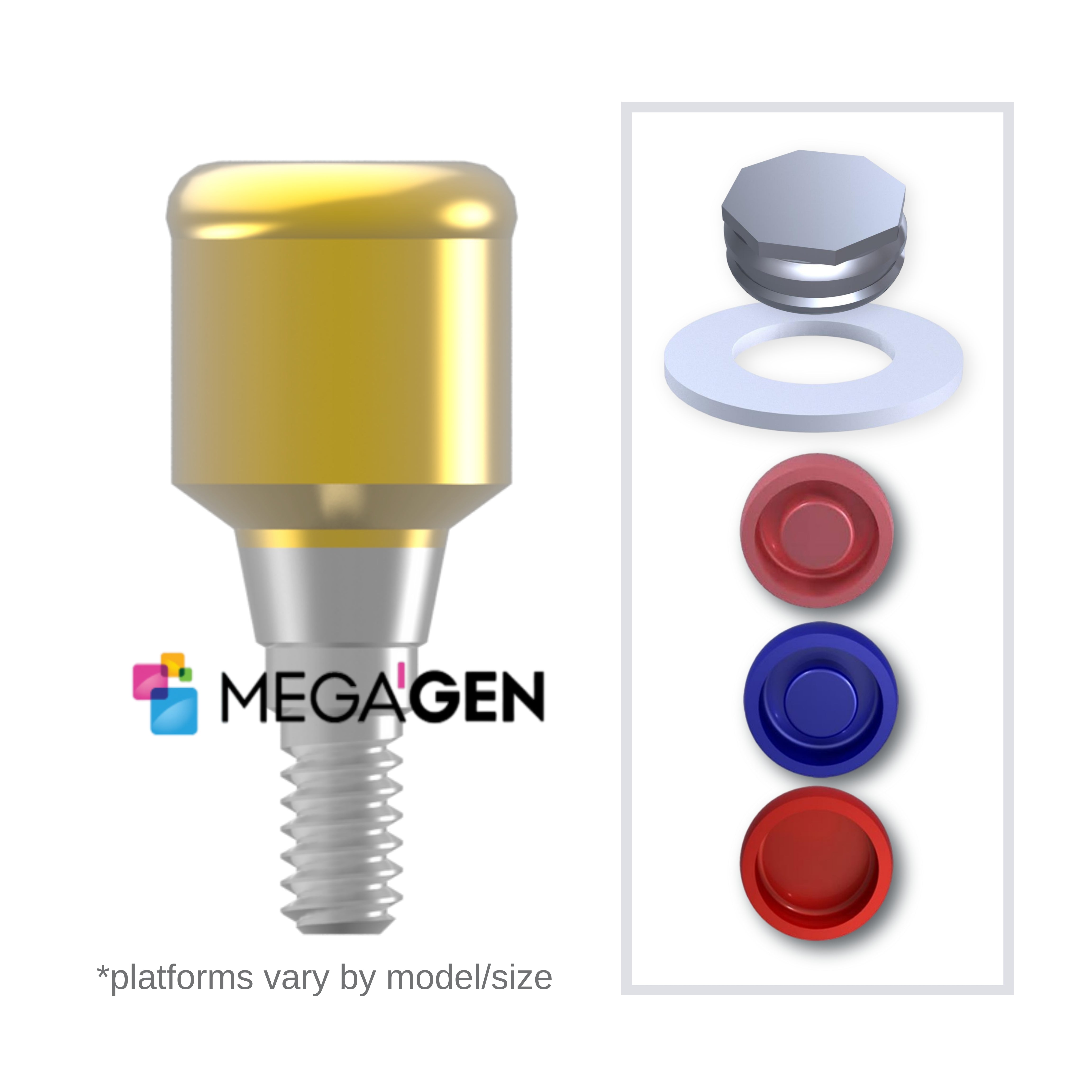 Implant Overdenture System - MEGAGEN – Dentists Nexus | eStore