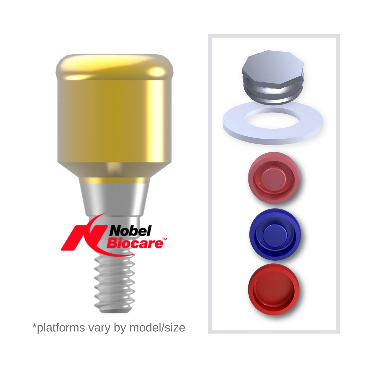 Implant Overdenture System - Nobel Biocare